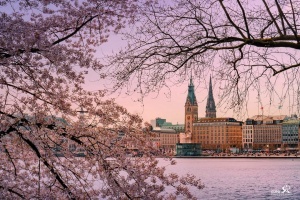 Приглашаем на Декламационный конкурс «Frühlingsgedichte»!