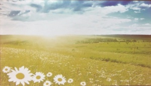 Поэтический вечер на факультете