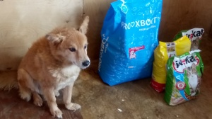 Благотворительная акция на факультете